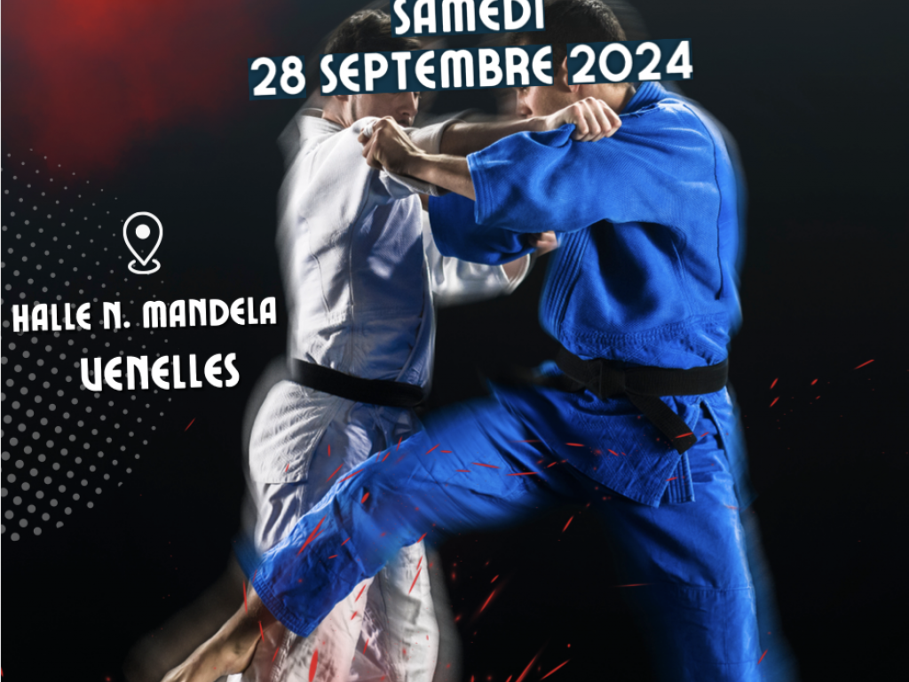Image de l'actu 'Tournois par équipe mixte vétéran  - Judo Club Venellois    - samedi 28 Septembre 2024'