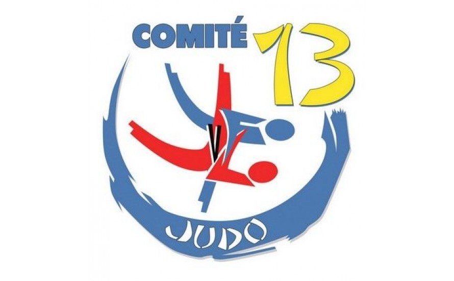 Logo du BOUCHES DU RHONE JUD